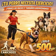 CANICROSS: POR UN PERRO SALUDABLE - Img 58205281