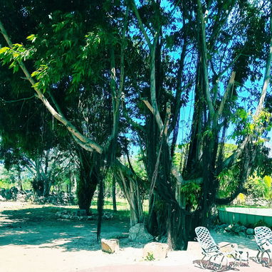 Hermosa finca de más de 1 hectárea con Bungalow. Casa de 3 cuartos, 4 baños y jacuzzi a mins de Varadero - Img 117674961
