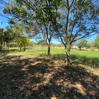 FOR SALE | 2-HECTARE FREEHOLD PROPERTY | HAVANA, CUBA - Img 125694207