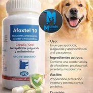 Alfoxtel 10 (antiparasitario interno y externo para perros) - Img 53915991