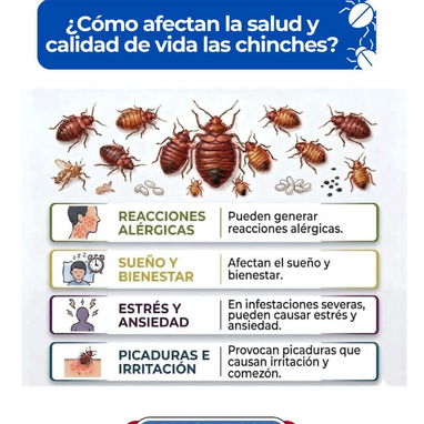 Servicio de Fumigación contra Chinches en La Habana - Img 124467388