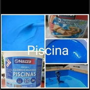 PINTURA PARA PISCINA BLANCA - Img 55154950