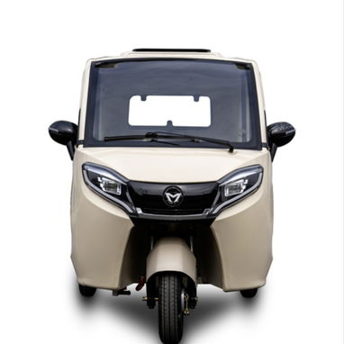 Triciclo Eléctrico Tipo Pick-up SK-2101*Online - 3/9