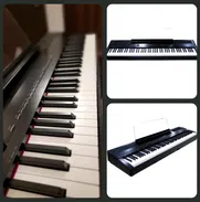 Vendo Digital Piano Yorx S8 de 88 teclas - Img 50777695