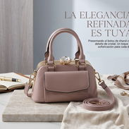 CARTERA🧁 - Img 57533635