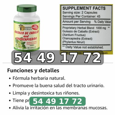 Chanca Piedra con Guisazo de Caballo, Hierba Tradicional Rompe Piedras, Suplemento de Apoyo para el Riñón y el Tracto - 2/3