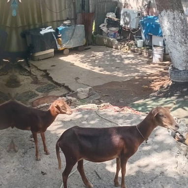 Venta de casa en Párraga con garaje y con todo adentro - 5/10