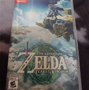 Zelda Tears of the Kingdom - Img 45719996