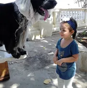 Olor a perrito LIMPIO en casa limpia con PELUPERRIN Tan Limpio como un Bebé - Img 49476708
