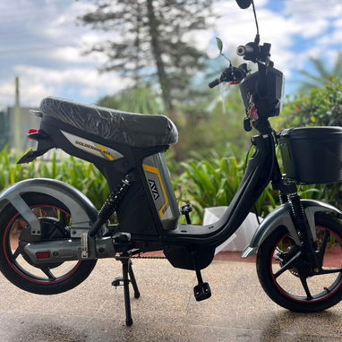 Moto eléctrica - 2/3