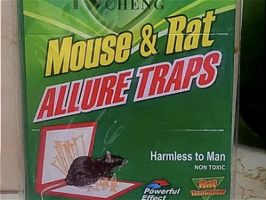 Trampas para ratones - Img main-image