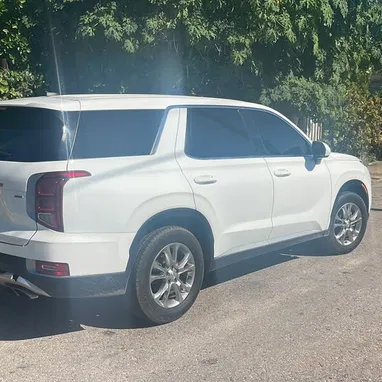 Palisade 2020 - 3/8