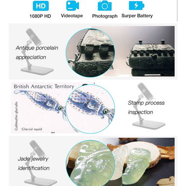 Microscopio Digital HD (F201) 🌐 - 5/7