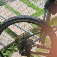 Bicicleta - Img 55790123