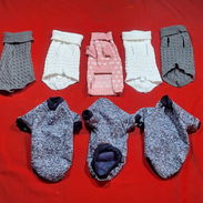 Ropa para mascotas - Img 56193919