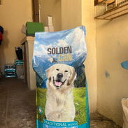 Comida para perro saco de 20kg - Img 57361630