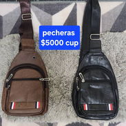 Pecheras - Img 55327340