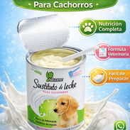 Sustituto lácteo para perros - Img 55870923