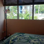 📲📲Se Buscan Gestores Para Casas de Renta (Pago por Comisión)🏚🏚 - Img 49747732
