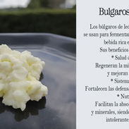 Búlgaros para kefir - Img 55342320