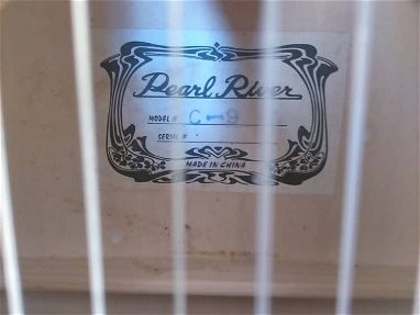 Guitarra Pearl river - Img main-image-45572554