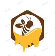 Venta de miel de abeja  🍯🐝 - Img 45443448