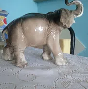 Elefante - Img 50320932