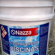 Pintura piscina - Img 54373459