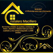 Cristalero macillero - Img 45685774