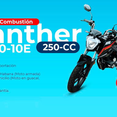 Motos de Combustión Panther - 5/8