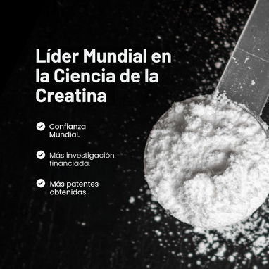 ✔️creatina en polvo MuscleTech Platinum - Img 123037251