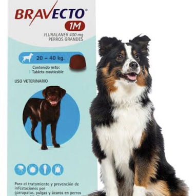 Bravecto (20-40kg) Medicina Veterinaria - 2/2