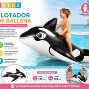 Flotador de ballena (EyH) - Img 55785284