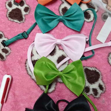 Productos para mascotas - 7/10