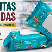 TOALLITAS HÚMEDAS:(cantidad) - Img 57008275