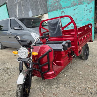 SE VENDE 🔥 TRICICLO Jinpen HÍBRIDO – GASOLINA + CORRIENTE 🔥 1000 W / EXTENSOR 4500 W. - 7/7