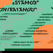 Ofertas aborales en La Lisa - Img 49145547