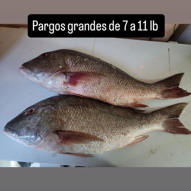 Mariscos , Pescados y Carnicos en la habana - 3/10