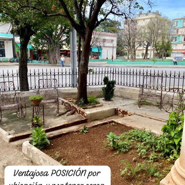 Renta de casa para negocio en el centro del vedado - Img 124166918