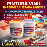 Pintura Vinil Impermeable – excelente calidad y precio con mensajería rápida (kinetica) - Img 55850293