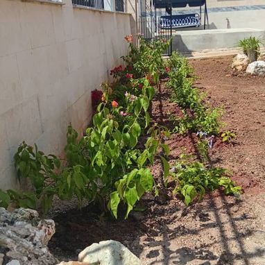 Servicio de jardinería - Img 119439271