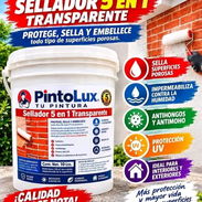 Sellador Vinil-Acrílico de excelente calidad ideal para el sellado de superficies interiores y exteriores de muros y tec - Img 58413987