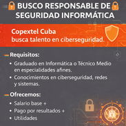 Se busca Responsable de Seguridad informatica Copextel - Img 54880222