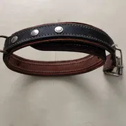 ACCESORIOS PARA PERROS - Img 54144795