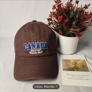 Gorras - Img 55820485