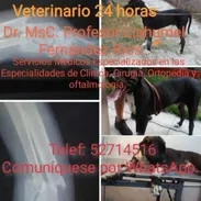 Veterinario de urgencias 24horas - Img 57462792