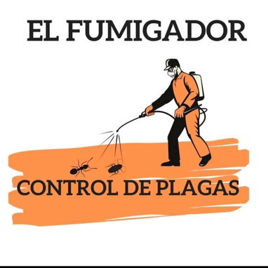 Fumigacion onil - Img 127039545