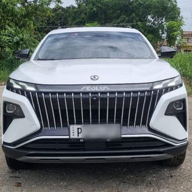 Dongfeng Huge 2025..add - 5/5