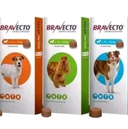 Bravecto - Img 48045497