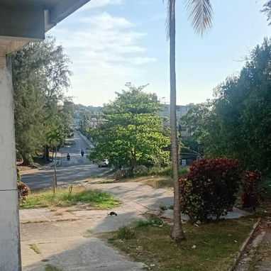 APARTAMENTO - Img 122852218
